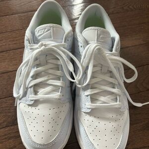 Brand New Nike Dunks- Women size 10